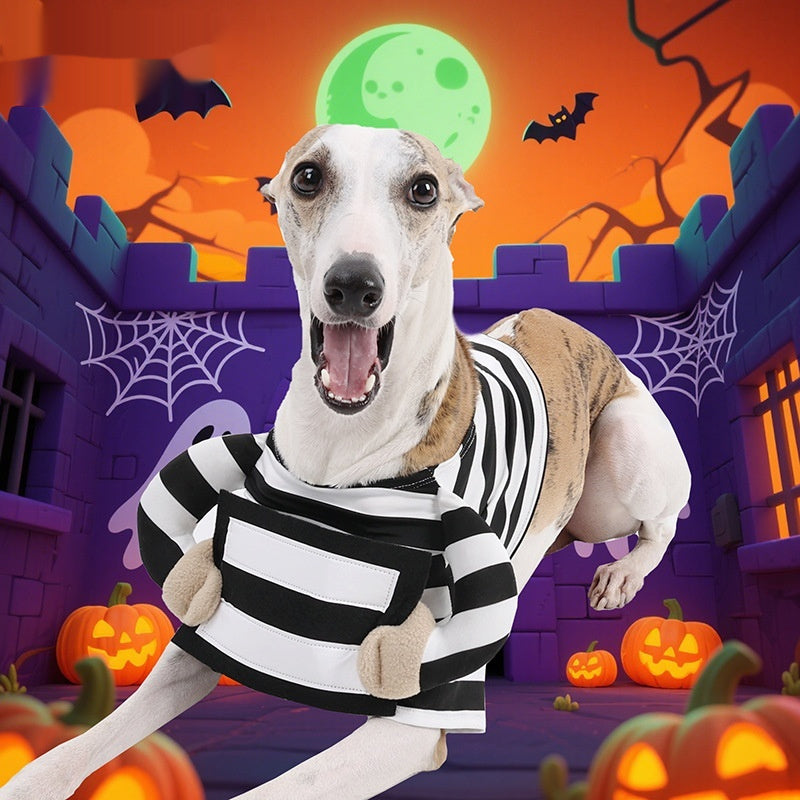 Pet Supplies