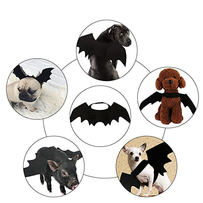 Bat Wing Cat & Small Dog Halloween Pet Costume